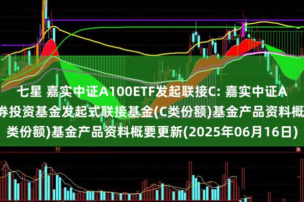 七星 嘉实中证A100ETF发起联接C: 嘉实中证A100交易型开放式指数证券投资基金发起式联接基金(C类份额)基金产品资料概要更新(2025年06月16日)