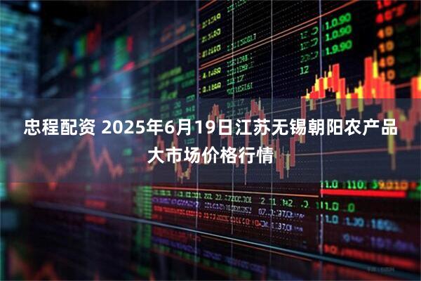 忠程配资 2025年6月19日江苏无锡朝阳农产品大市场价格行情