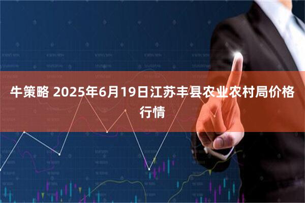 牛策略 2025年6月19日江苏丰县农业农村局价格行情