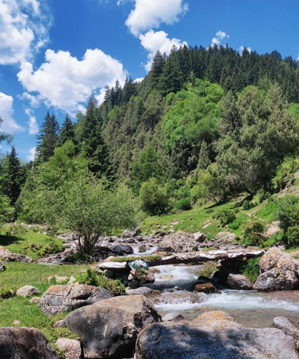 秒配网 青海门源突发泥石流致3死2失联：5人均为露营游客，含10多岁孩子，正全力搜救