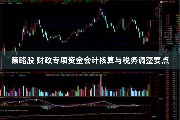 策略股 财政专项资金会计核算与税务调整要点